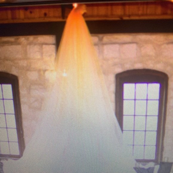 Wedding Backdrop - Picture 1 of 1